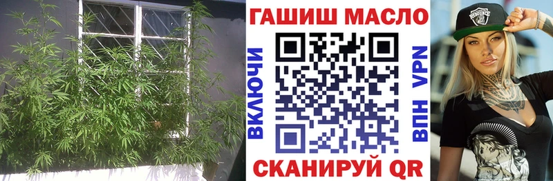 Дистиллят ТГК гашишное масло  Курчалой 